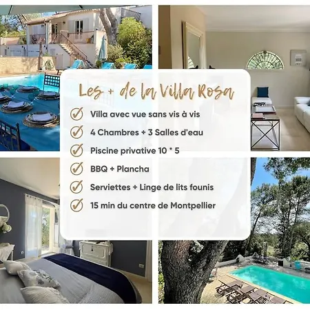 Rosa - Magnifique Mas Provencale Avec Piscine *